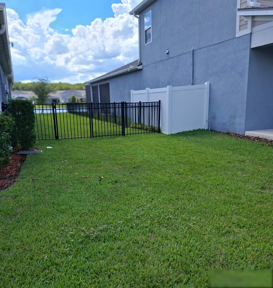 Freshly restored black wrought-iron fence and gate in a Florida backyard